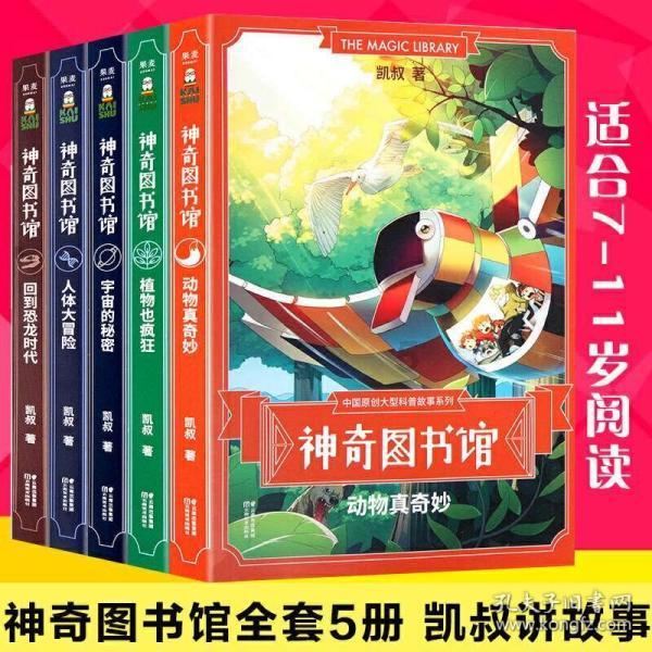 寻找战宝船